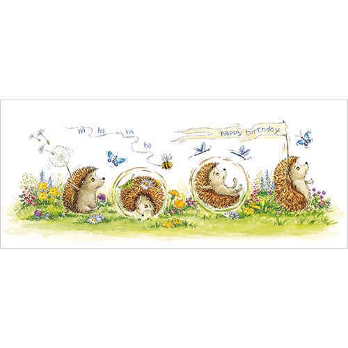 Birthday hedgehogs