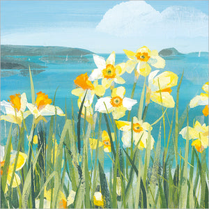 Daffodils by the Coast