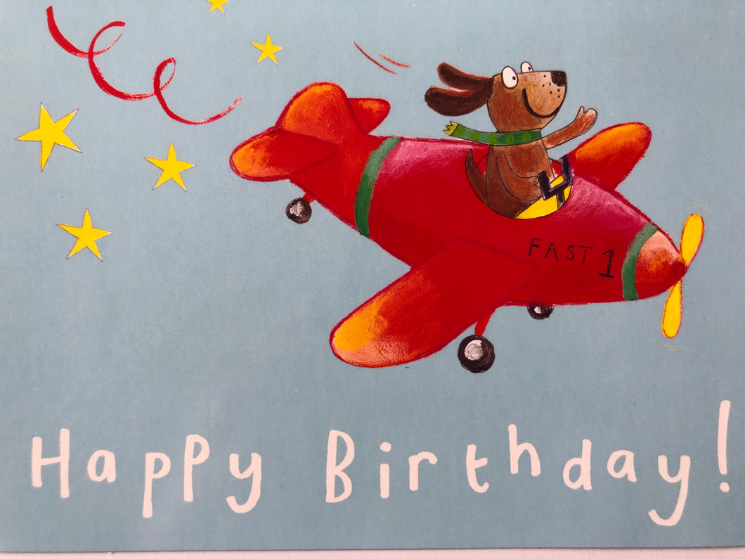 DOG PLANE