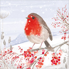 Load image into Gallery viewer, ROBIN WITH RED BERRIES (PACK OF 8)
