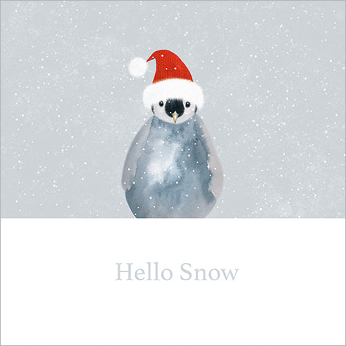 HELLO SNOW (PACK OF 8)