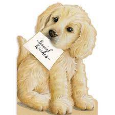 LABRADOR PUPPY