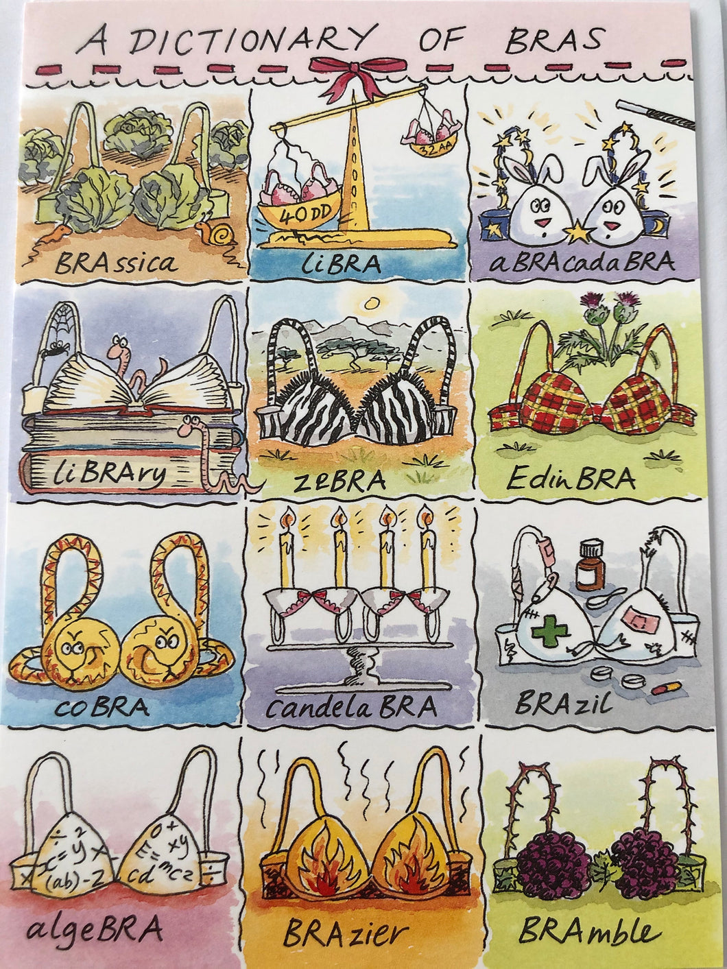 DICTIONARY OF BRAS