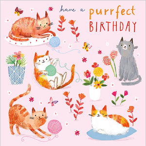 HAVE A PURRFECT DAY