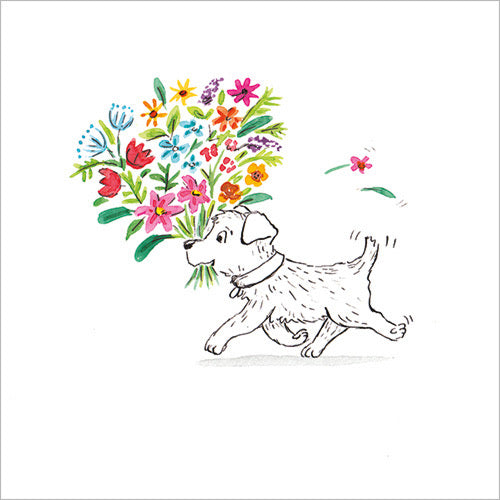 DOG WITH A FLOWER POSY