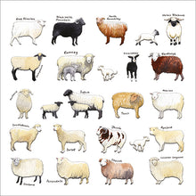 Load image into Gallery viewer, Sheep
