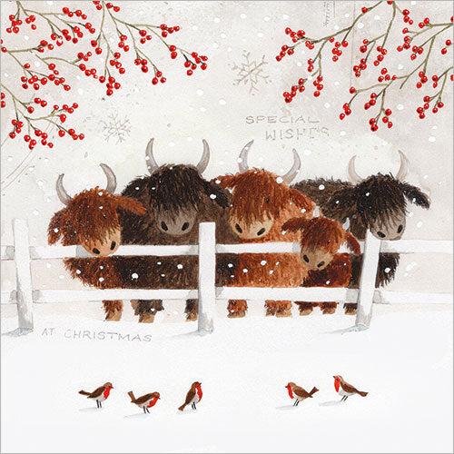 HIGHLAND COWS (IN THE SNOW) (PACK OF 8)