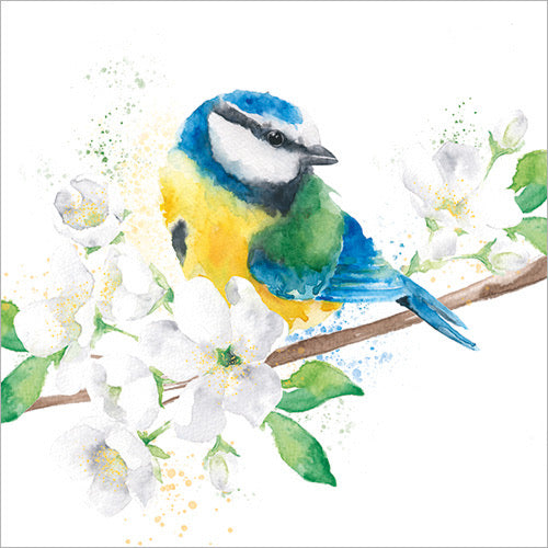 BLUE TIT AND BLOSSOM